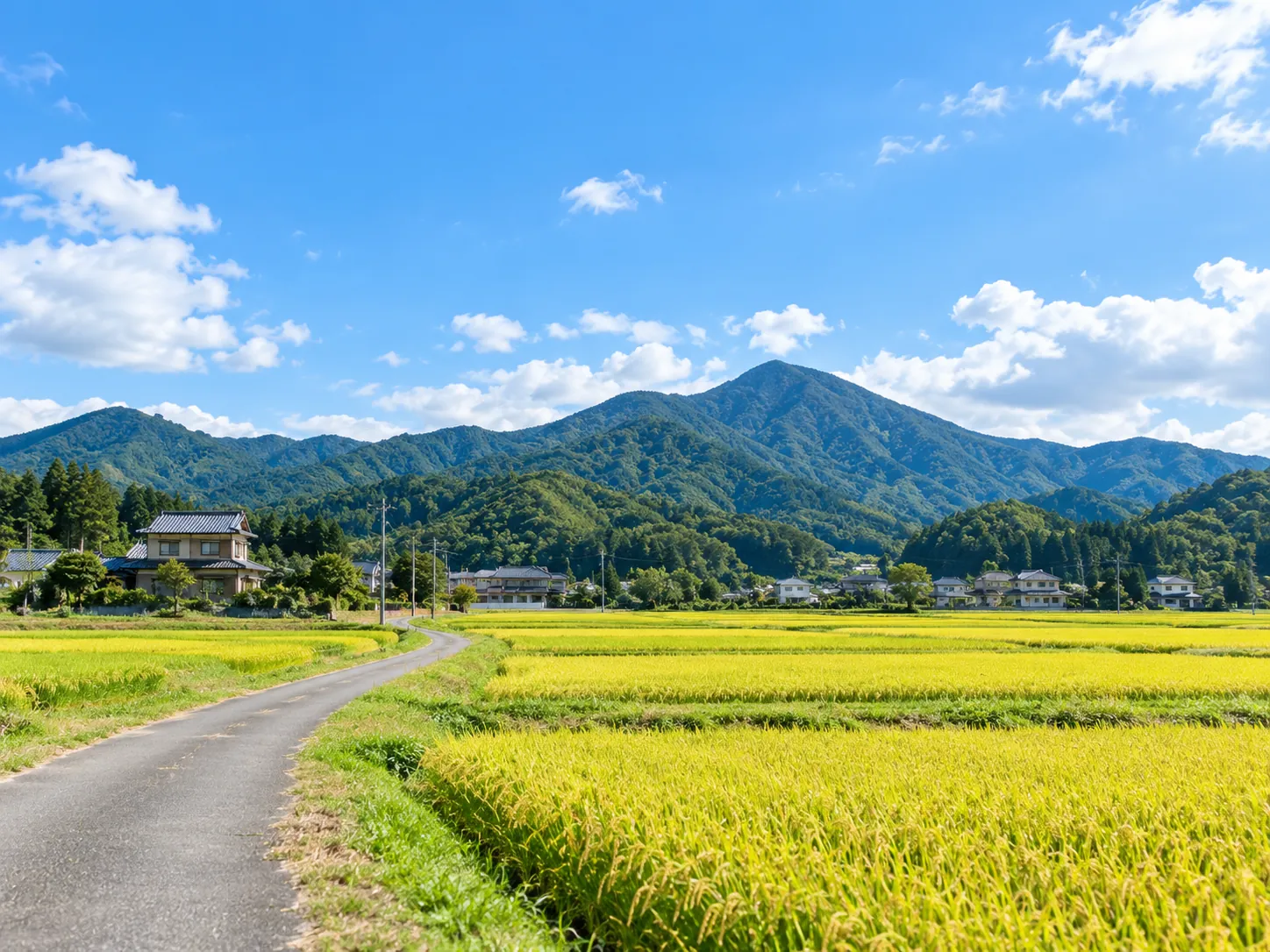 山のふもとに広がる田園と集落
